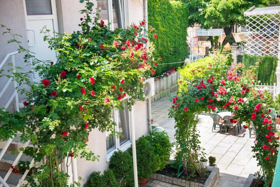 Стаи За Гости Varna Ngoại thất bức ảnh